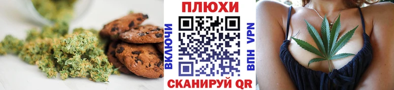 Canna-Cookies марихуана  купить наркоту  Лениногорск 